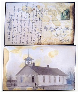 Image description is not available for PHO-264-310